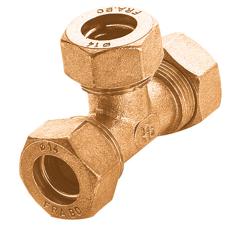 alternate text